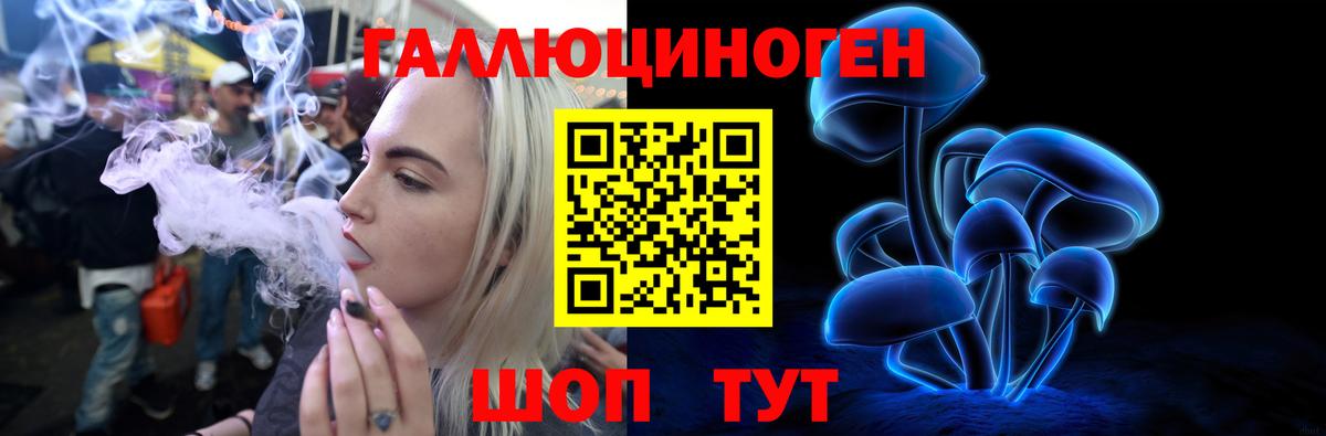 Кулебаки  Псилоцибиновые грибы MAGIC MUSHROOMS  Вход с VPN 